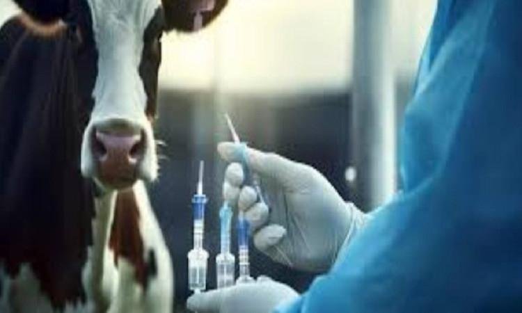 منتجات وخدمات دنيا الصحة البيطرية